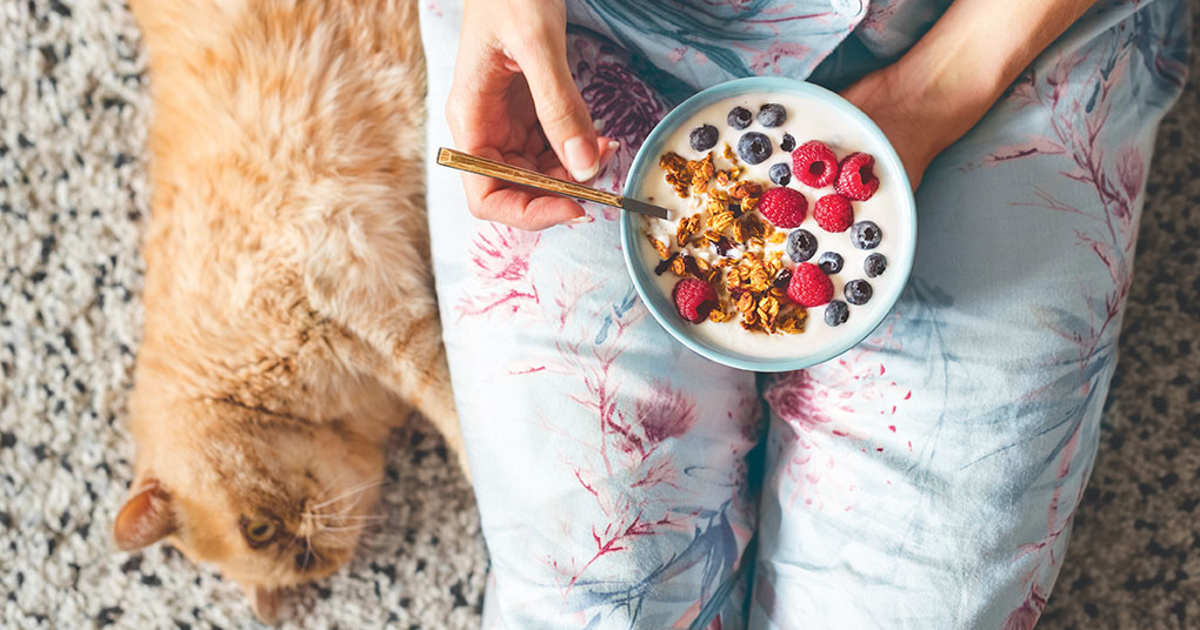 Conocer mejor la microbiota permitirá prevenir y tratar tumores