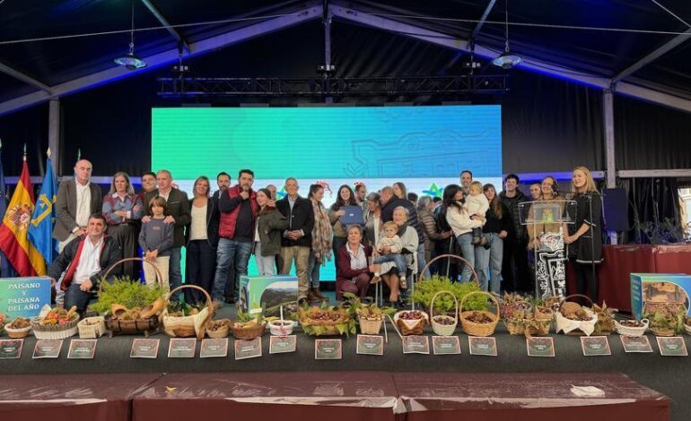 Certamen de la castaña y productos de la huerta en Arriondas