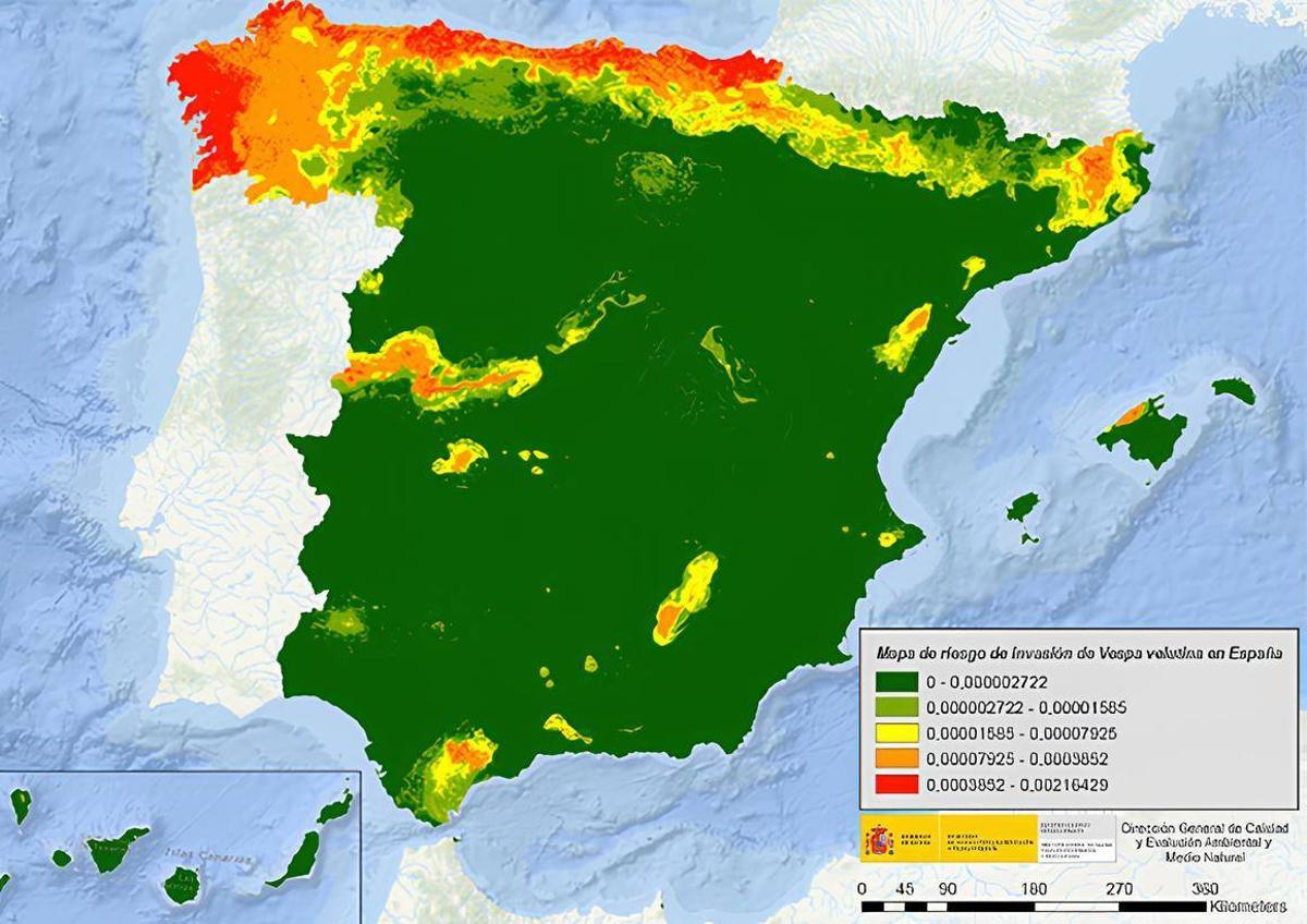 Mapa de riesgo de invasión de avispas asiáticas.