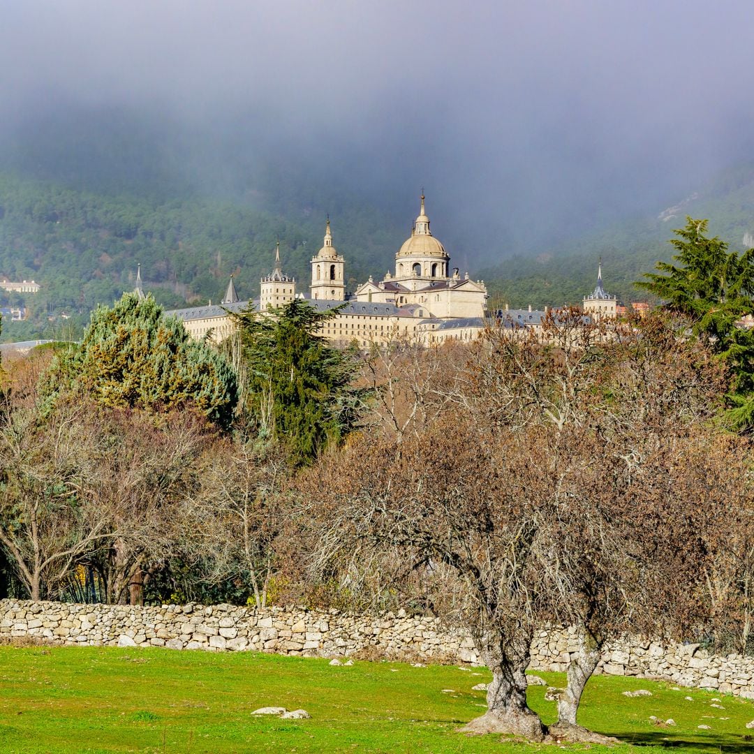 Bosque de la Herrería y al fondo el real monasterio de San Lorenzo de El Escorial, Madrid