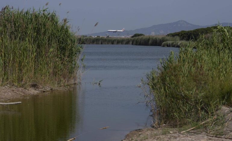 El Govern ficha a la consultora ambiental del puerto de Róterdam para justificar la ampliación del aeropuerto ante Europa