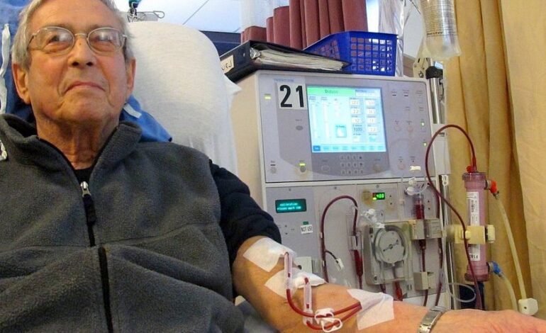 Un riñón de cerdo funciona dos meses en un receptor con muerte cerebral