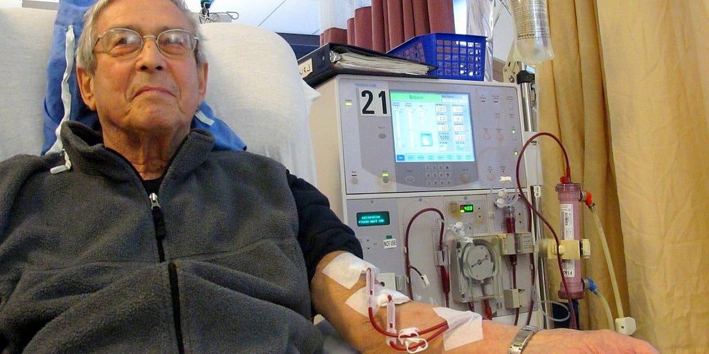 Un riñón de cerdo funciona dos meses en un receptor con muerte cerebral