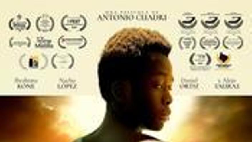 Te protegerán mis alas