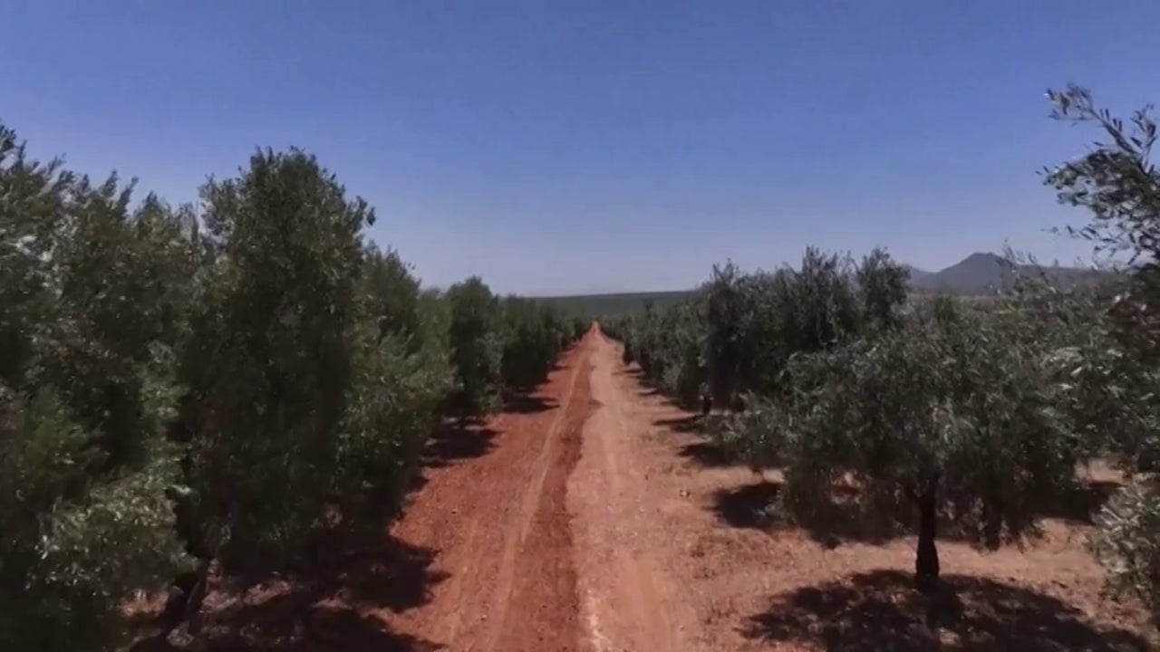 ¿Qué pasó el 26 de noviembre?