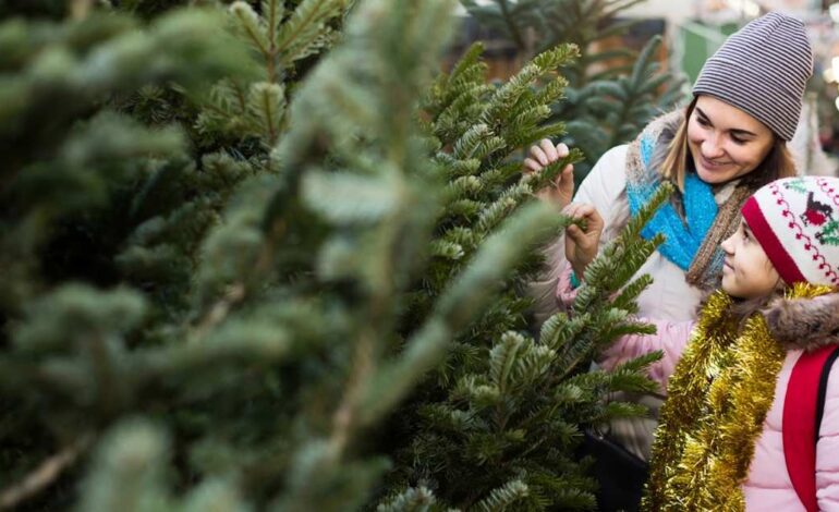 todo lo que tienes que tener en cuenta al comprarlo