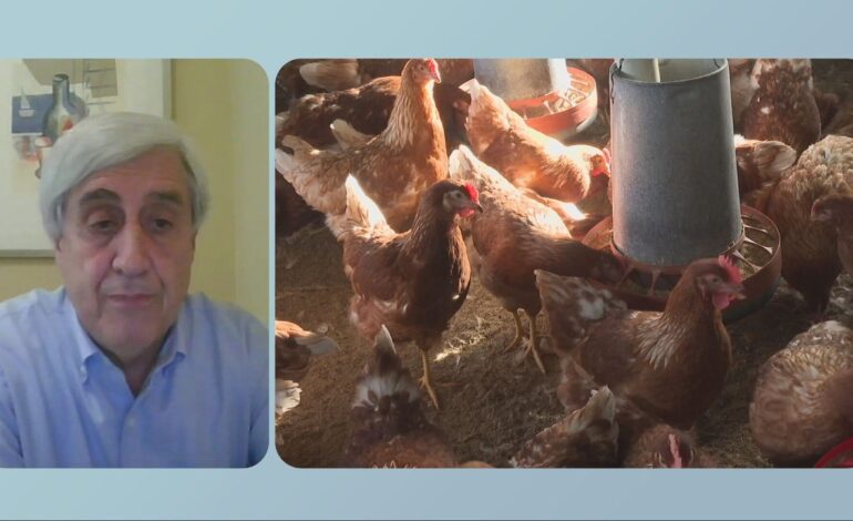 No va a ser un gran problema, el brote va a durar dos semanas, como mucho tres