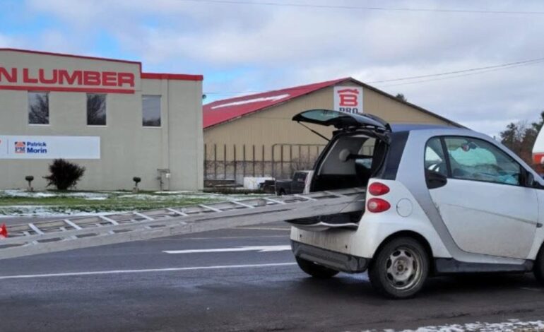 la insólita imagen viral con una escalera y un Smart