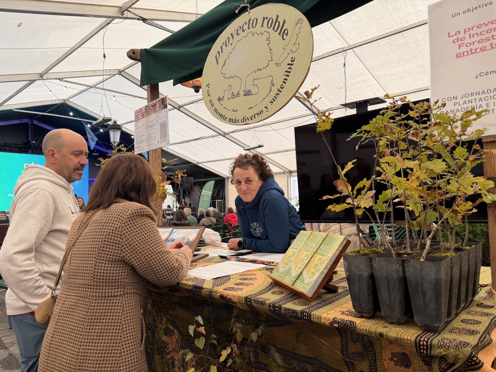 Concurso de castañas y productos de la huerta en Arriondas