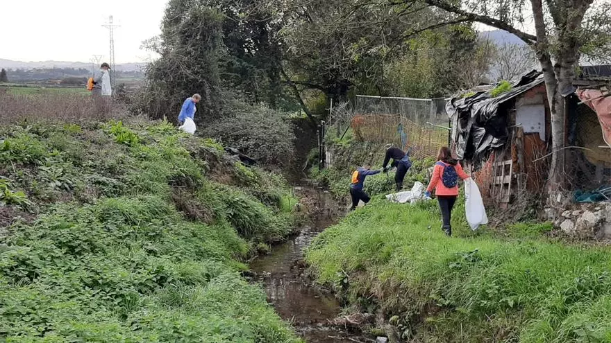 Así limpian los voluntarios el río Zalandrón en Posada de Llanera