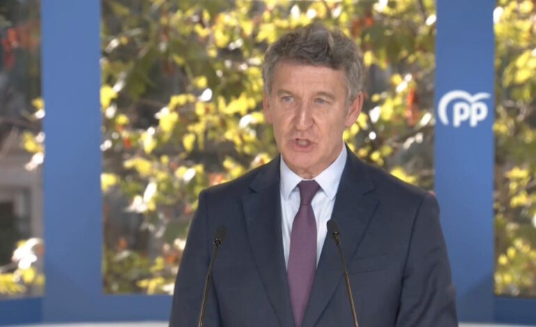 Feijóo señala que Mazón ha adoptado «una decisión correcta» y reclama a Vox que esté «a la altura» para elegir nuevo presidente