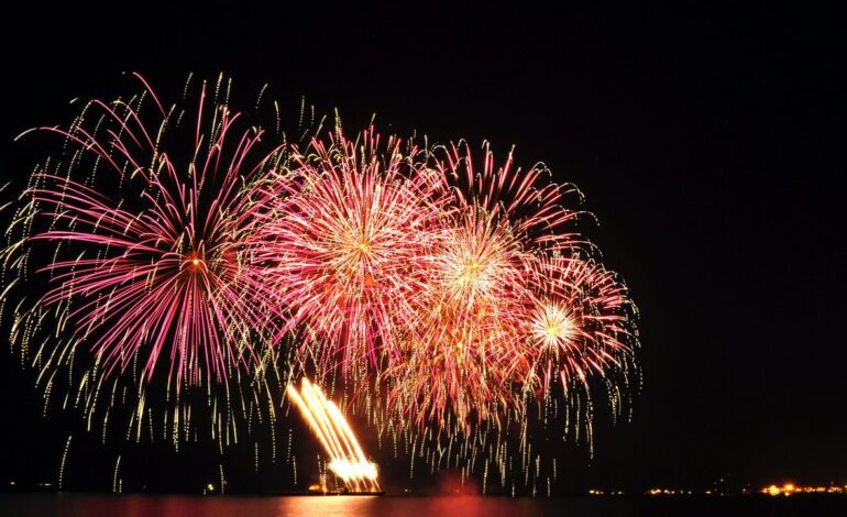 Un perro alterado por unos fuegos artificiales mata a un bebé de nueve meses