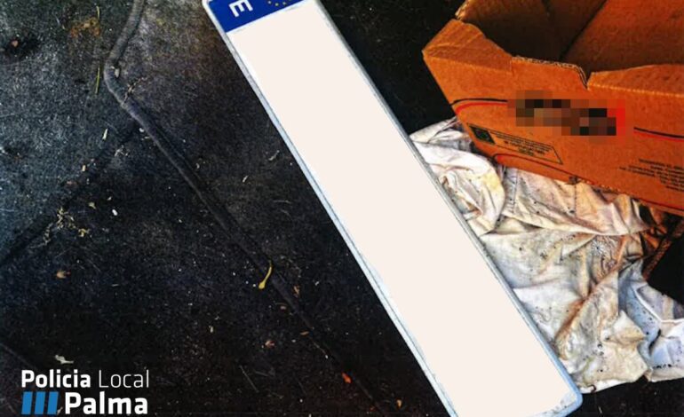 La Policía Local de Palma investiga a un conductor por falsificar la matrícula de su coche