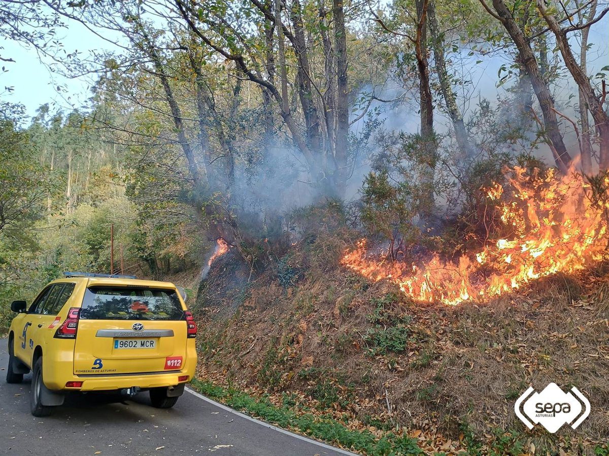 Ascienden a ocho los incendios forestales declarados en Asturias, cinco activos y tres controlados
