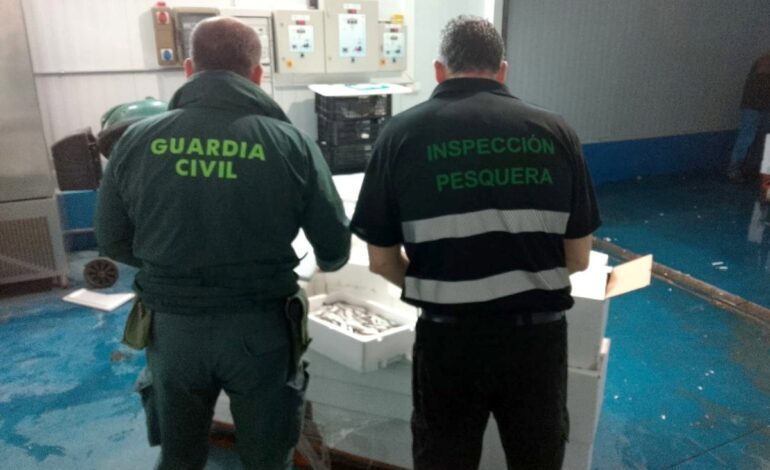 Intervenidos en Úbeda (Jaén) cerca de 750 kilos de productos pesqueros sin garantía de seguridad para su consumo