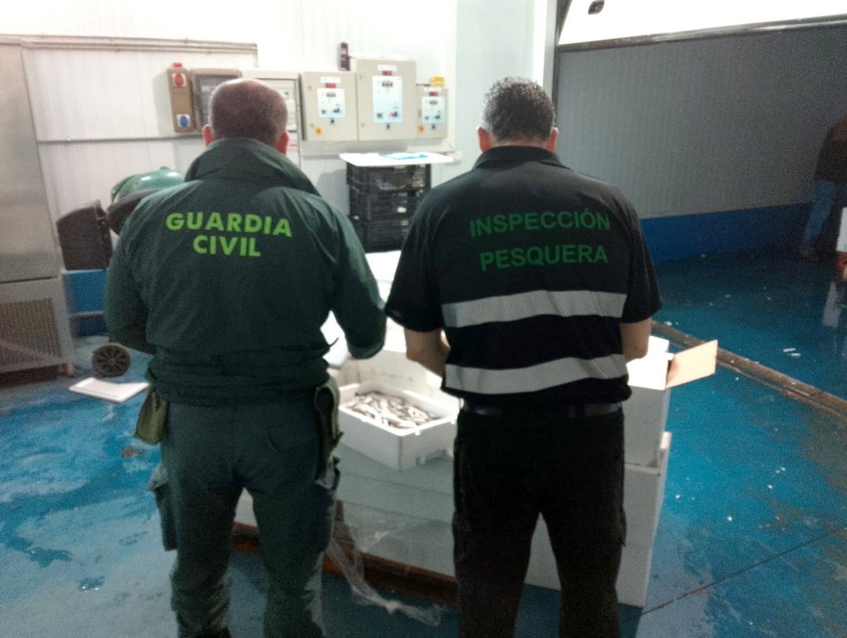 Intervenidos en Úbeda (Jaén) cerca de 750 kilos de productos pesqueros sin garantía de seguridad para su consumo