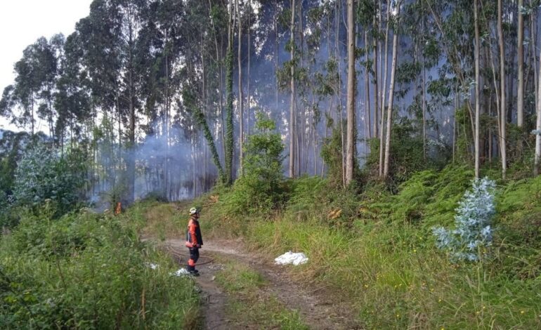 Activado el Infopa en fase de alerta