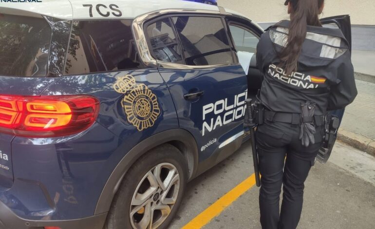 Detienen a una mujer por intentar robar un perro y pegar a varias personas en el centro de Palma