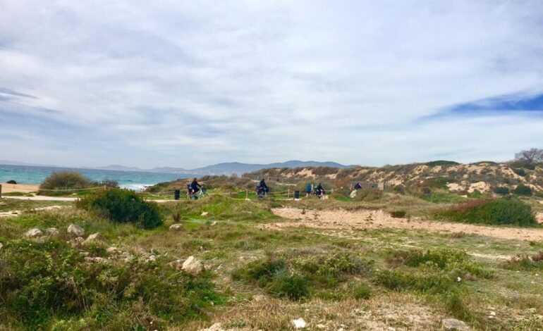 Localizan un cadáver en avanzado estado de descomposición en la costa de es Carnatge