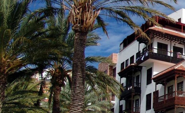 Detienen a un hombre por talar y podar varias palmeras canarias sin autorización en Vecindario (Gran Canaria)