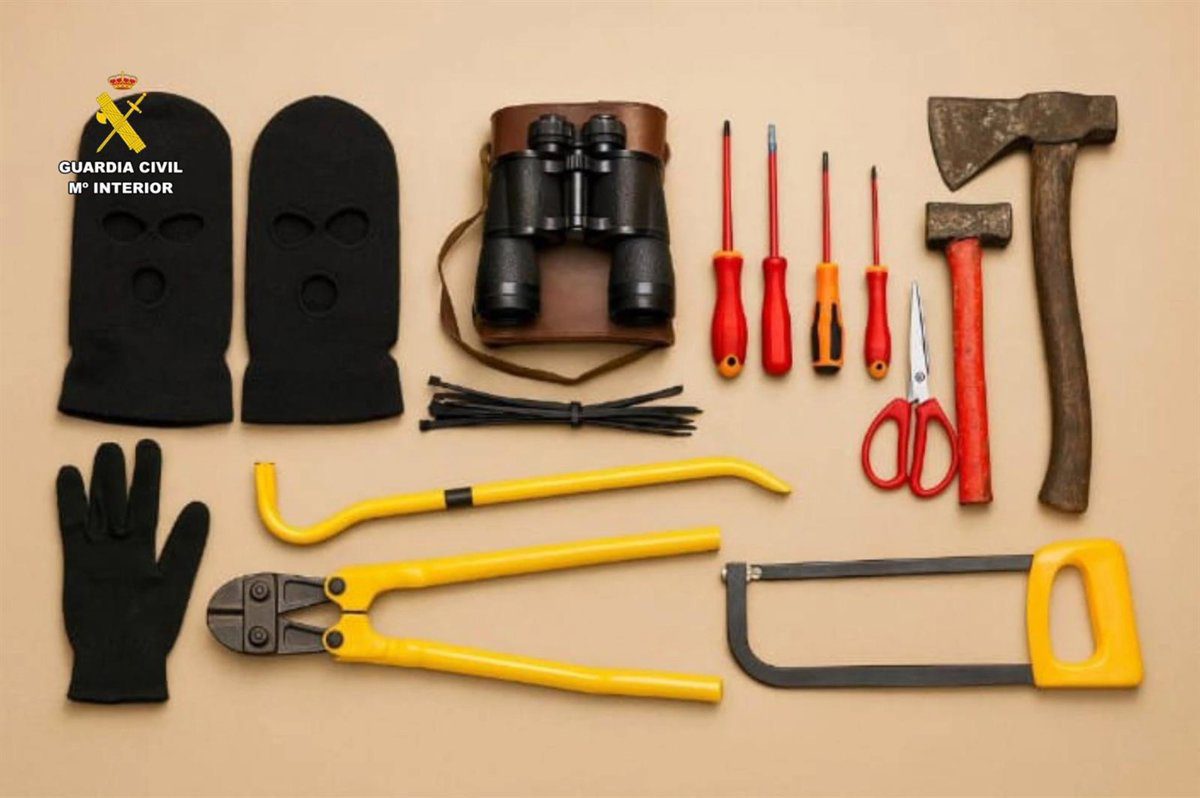 Prisión para dos acusados de entrar a robar en cuatro domicilios de Mallorca