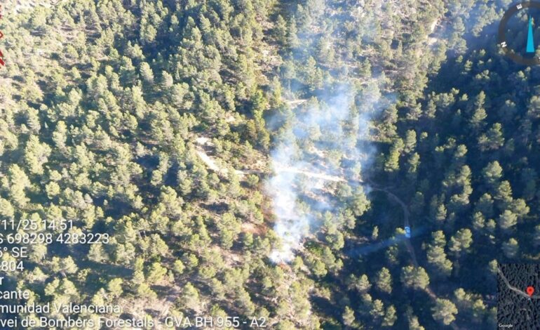 Bomberos luchan contra un incendio forestal declarado en Biar (Alicante)