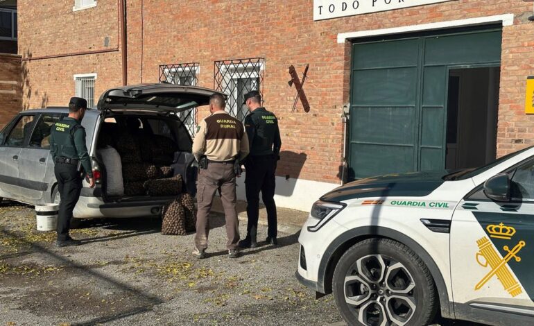 Cinco detenidos por hurtar 340 kilos de nueces valorados en 2.380 euros en una finca del Bajo Cinca (Huesca)