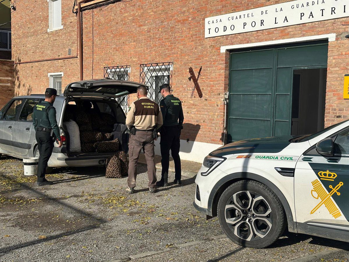 Cinco detenidos por hurtar 340 kilos de nueces valorados en 2.380 euros en una finca del Bajo Cinca (Huesca)