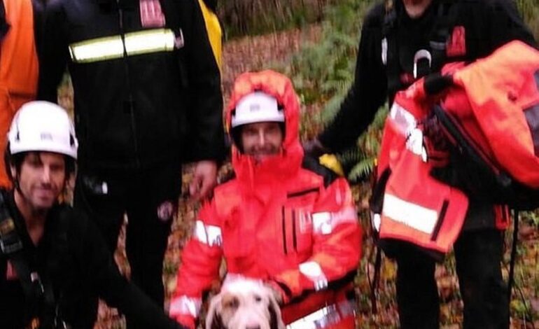 Rescatan a un perro caído en una sima de unos 18 metros en Arenas de Iguña