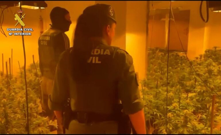 Desmantelan en un edificio de Roquetas (Almería) ocho cultivos de marihuana con 2.500 plantas y 95 enganches ilegales