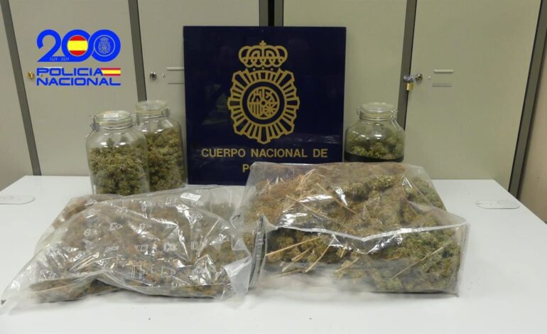 Un detenido en Andújar (Jaén) acusado de engancharse a la red para cultivar marihuana en su casa