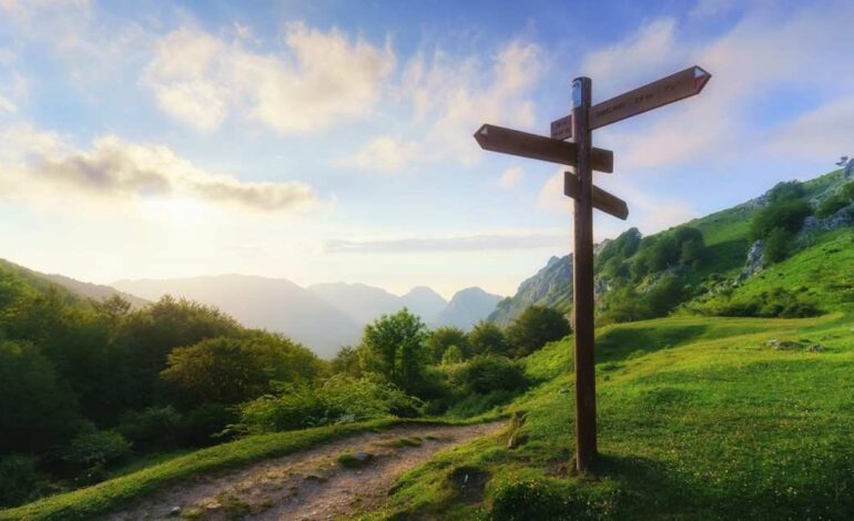 Cuántas cosas nos perdemos por no querer perdernos. Por no detenernos. Por no preguntarnos si lo que hacemos cada día es lo que realmente queremos hacer