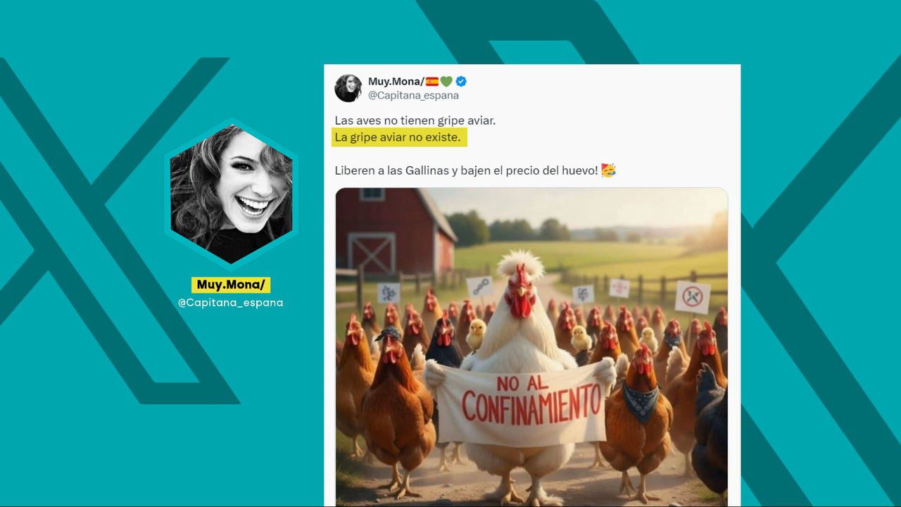 Sí, la gripe aviar existe y no es un plan para subir el precio de los huevos