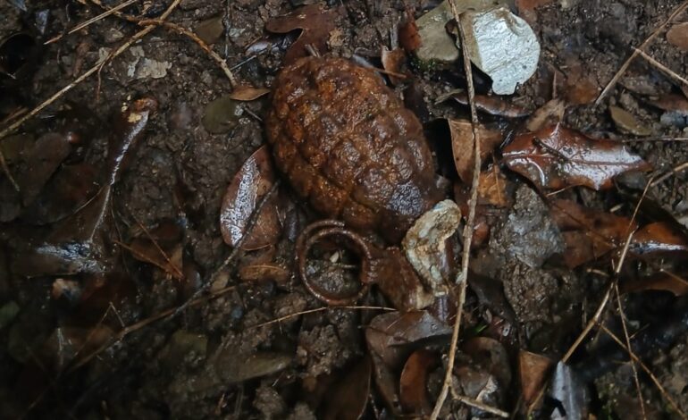 Un grupo de personas sale a buscar setas y encuentra una granada de la Guerra Civil cerca de Barcelona
