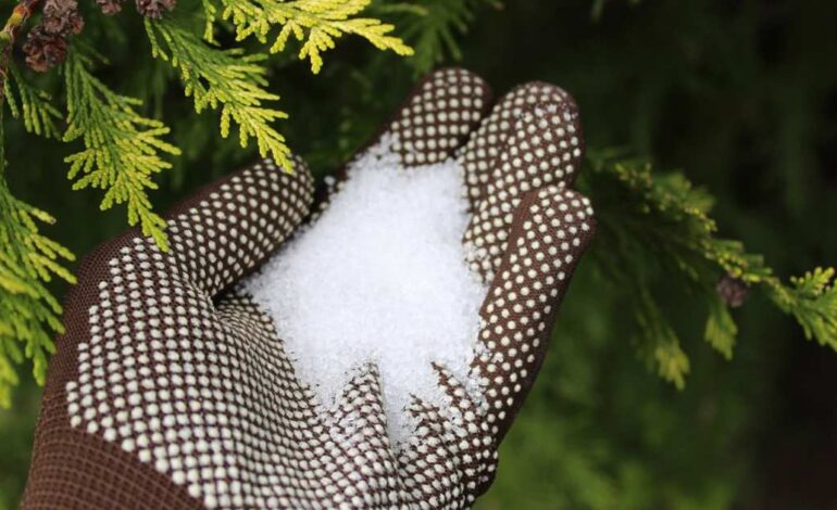 Esta es la única sal que es buena para tus plantas (y merece la pena usarla)