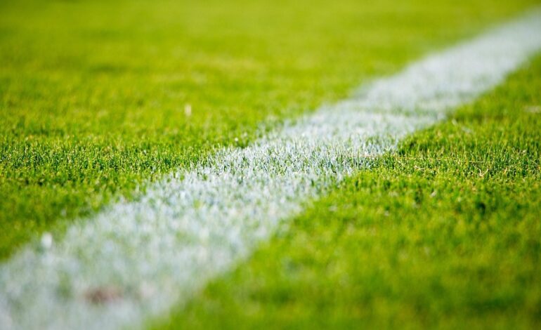 La Policía Nacional busca a un aficionado que propinó un puñetazo a un jugador de 13 años