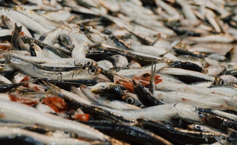 Talleres de formación en los mercados del área metropolitana de Barcelona