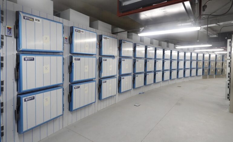 Luchó por escapar de su tumba congelada