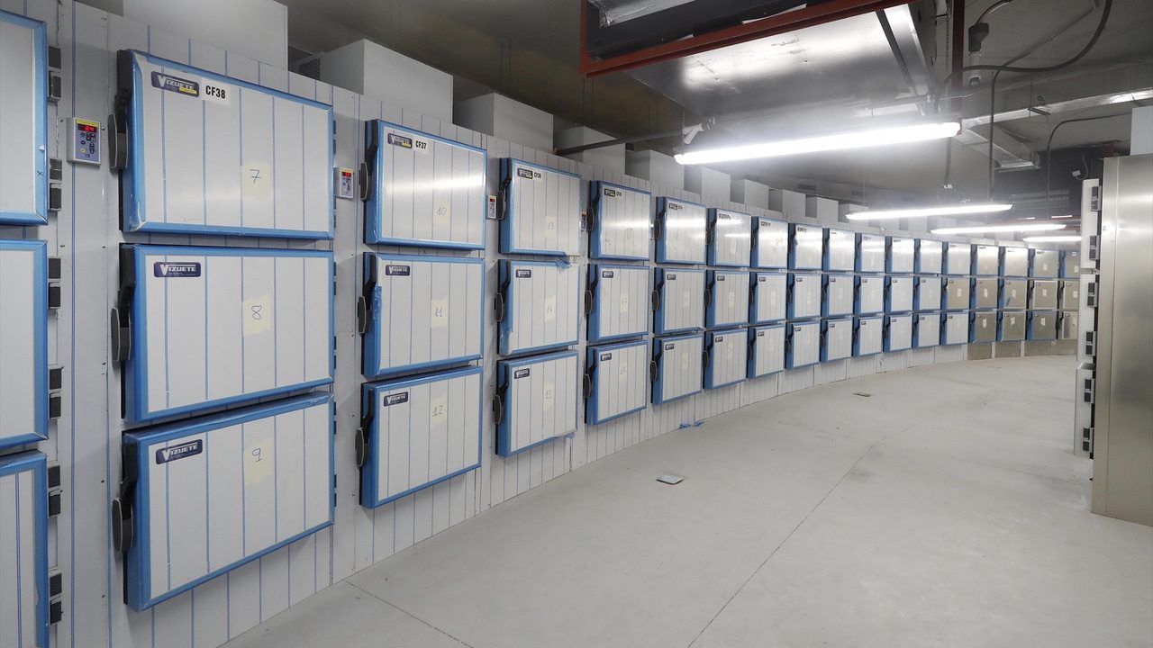 Luchó por escapar de su tumba congelada