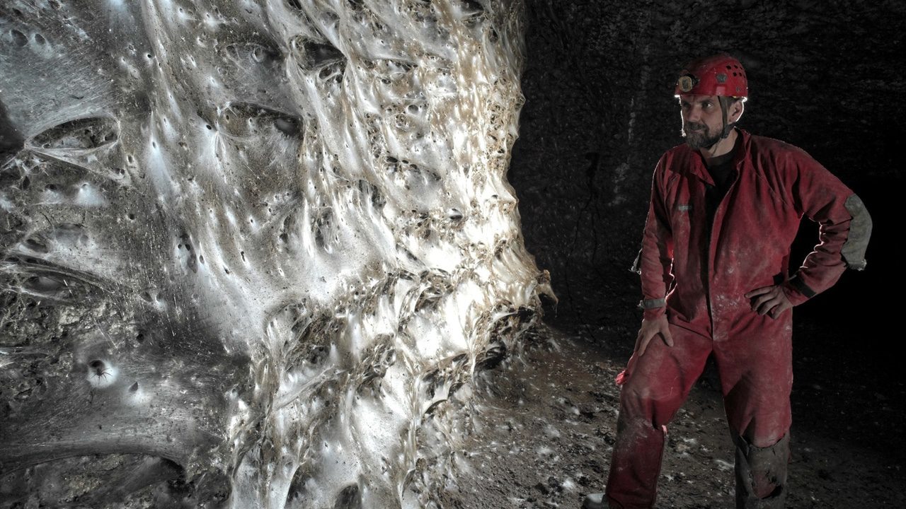 más de 111.000 arañas y 106 metros cuadrados
