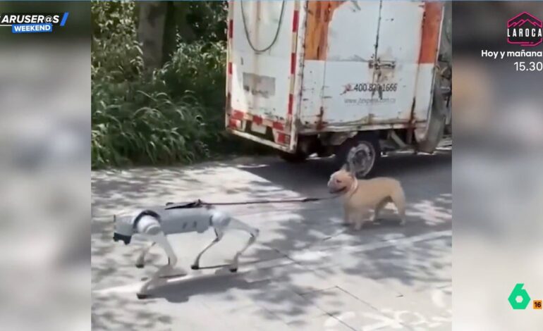 El increíble video viral del perro robot que saca a pasear al perro de verdad: «No le queda otra»