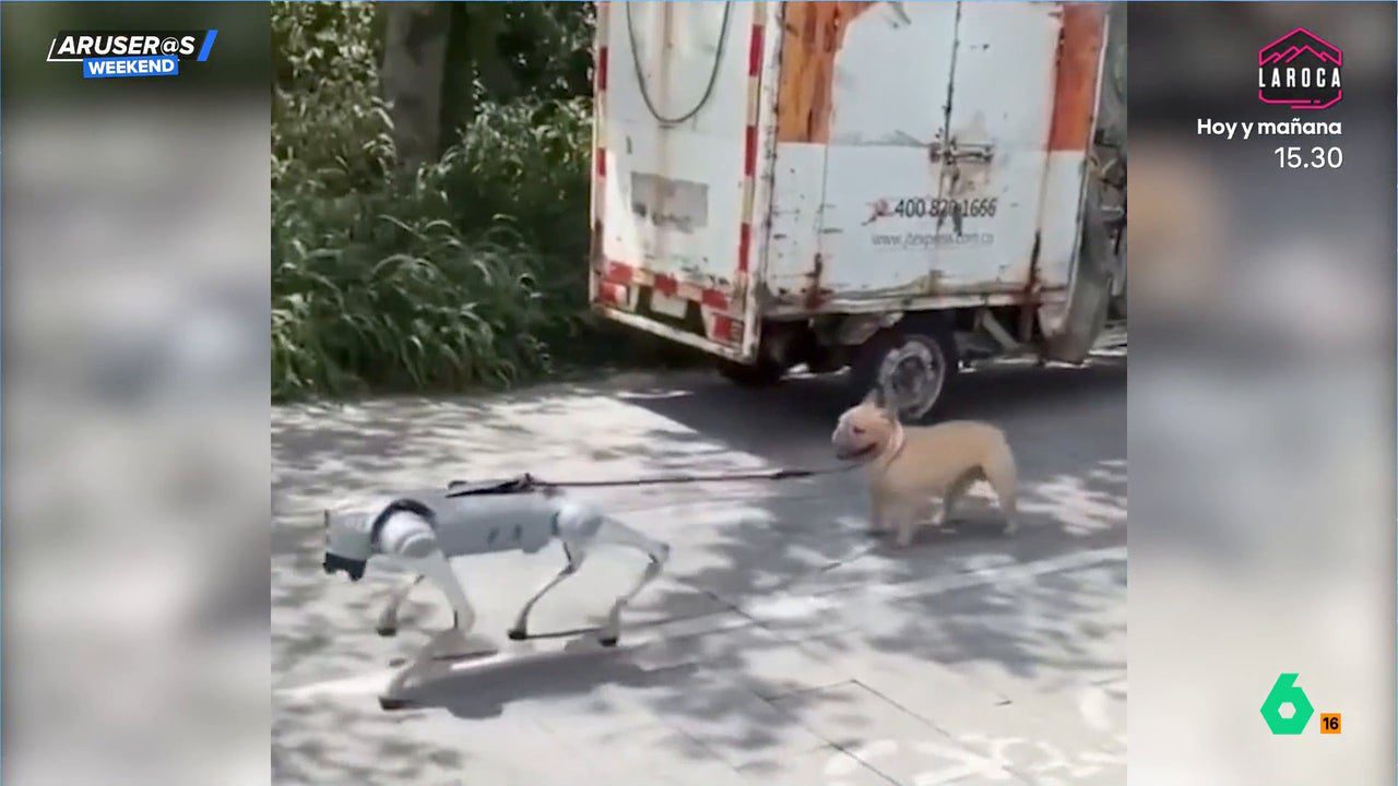 El increíble video viral del perro robot que saca a pasear al perro de verdad: «No le queda otra»