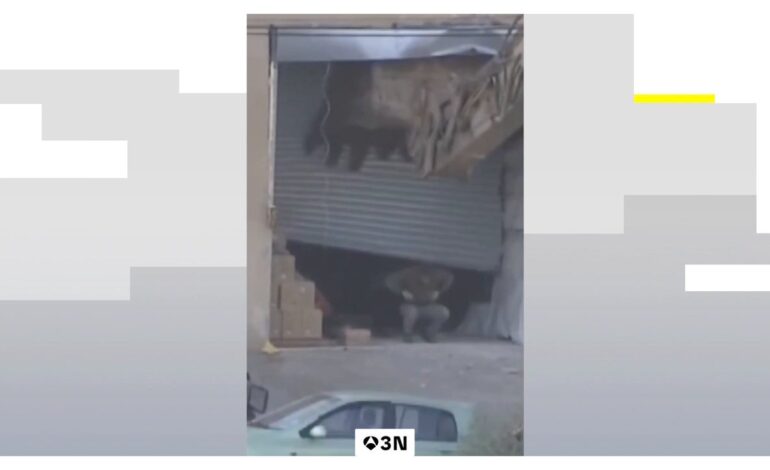 las duras imágenes de dos hombres con las manos en alto antes de ser abatidos por soldados israelíes