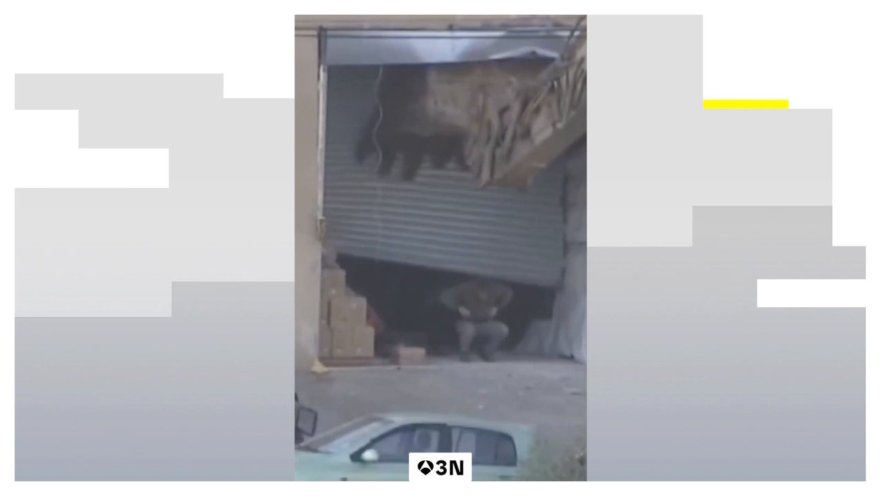 las duras imágenes de dos hombres con las manos en alto antes de ser abatidos por soldados israelíes