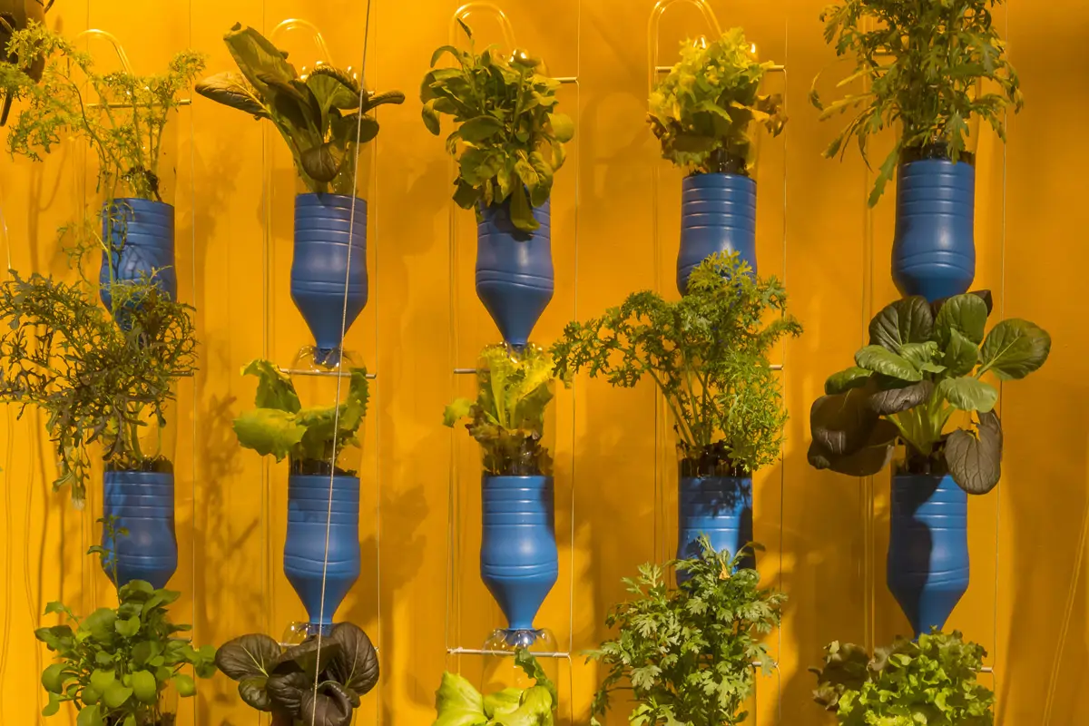 botellas de jardín verticales