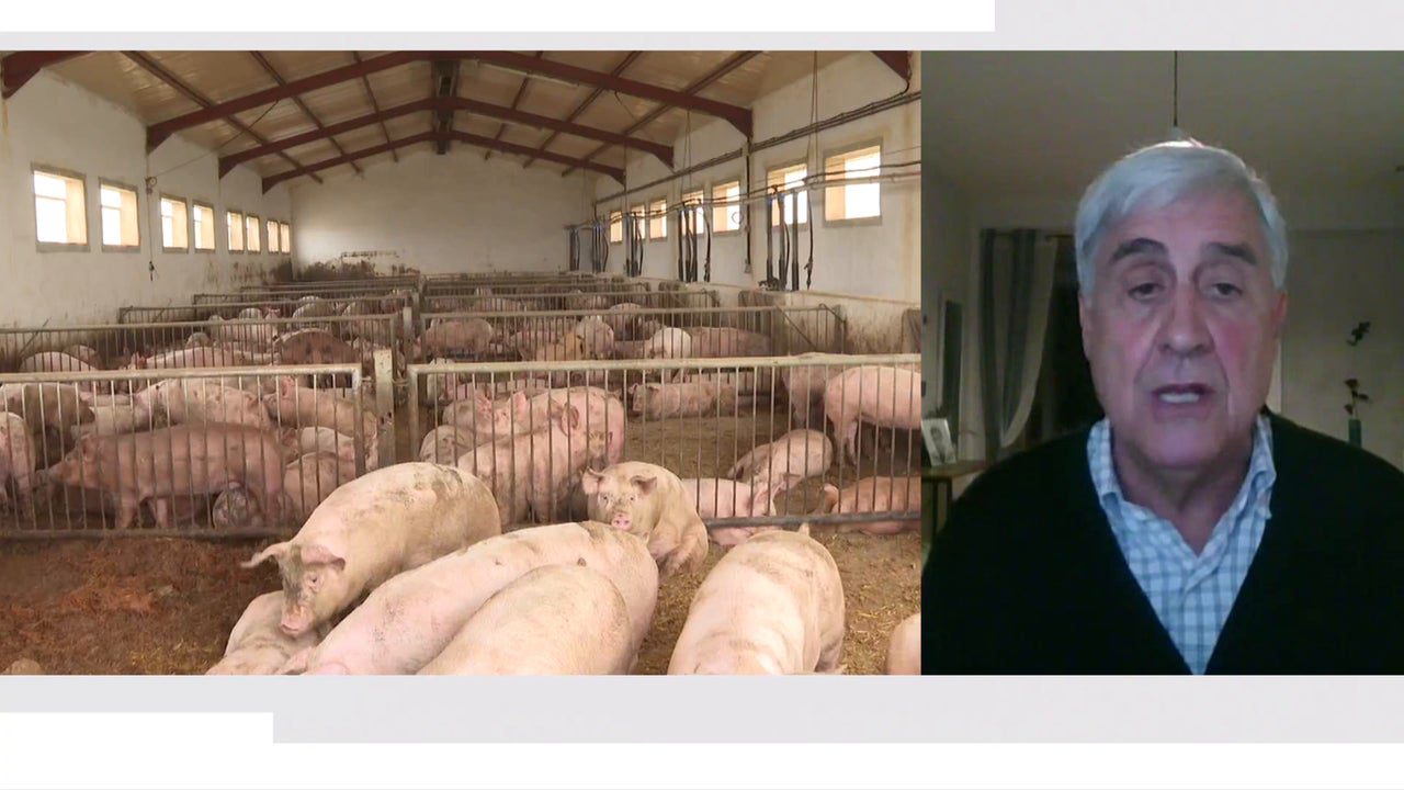 El problema es que no hay vacunas