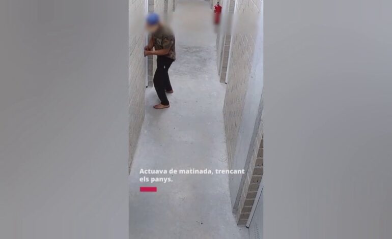 Detenido el saqueador de trasteros del Baix Llobregat: así actuaba el ladrón