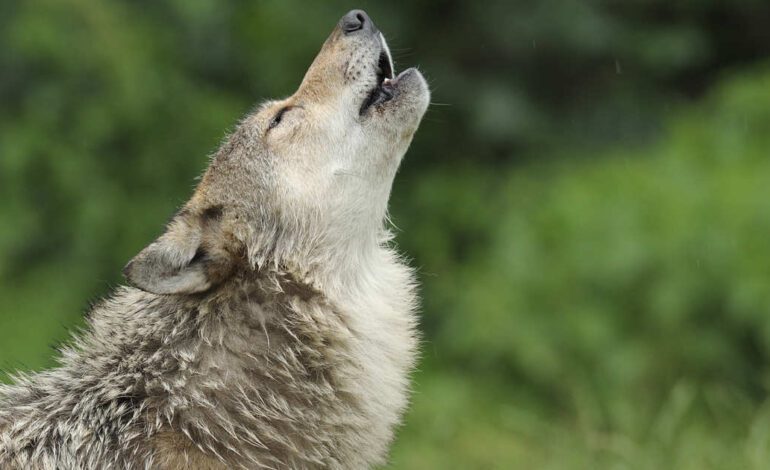 la frase de la filosofía que todo el mundo malinterpreta