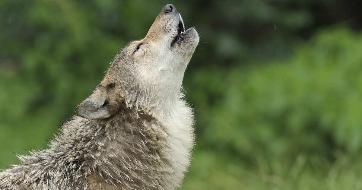la frase de la filosofía que todo el mundo malinterpreta
