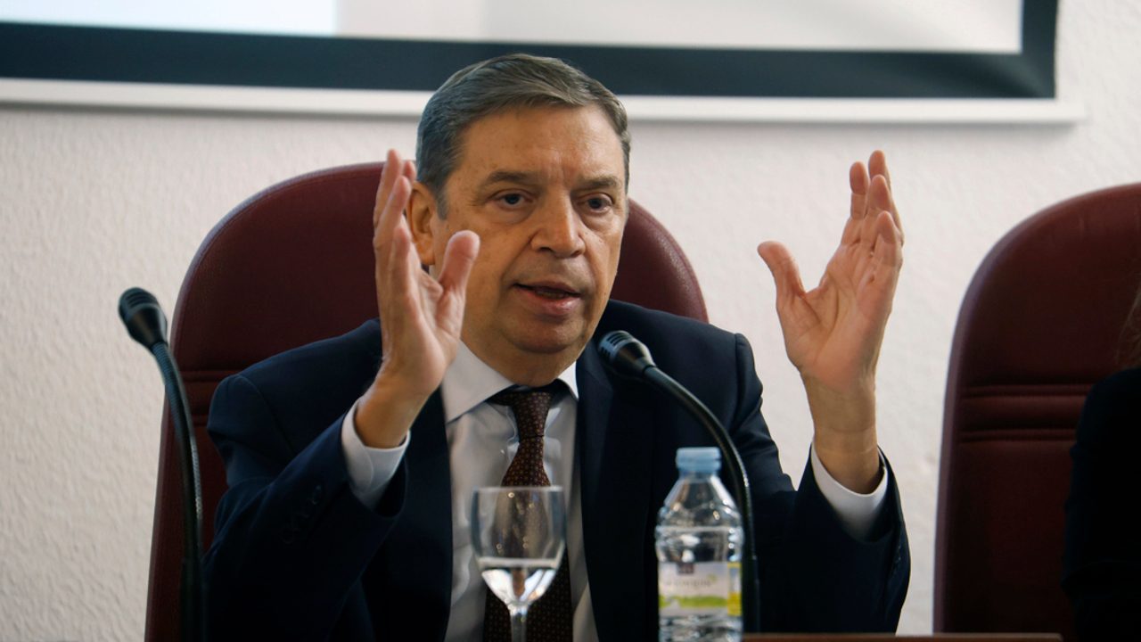 El Gobierno llama a la «tranquilidad» tras los casos de peste porcina africana en España: «El abastecimiento está garantizado»